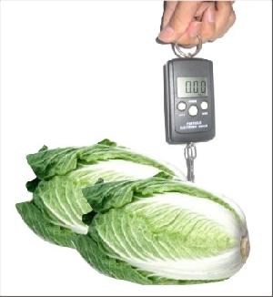 portable electronic vegetable scales 5kg 2g 10kg 10g 40kg kg lb temperature instructio