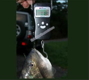 Portable Fishing Scale, 10 Memory Storage 50kg / 10g Blue Backlight, Calibration Way.