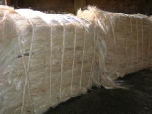 Sisal Fiber