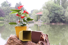 biodegradable plant fibre flower pots