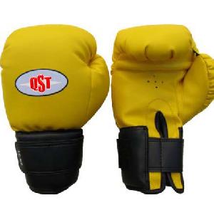 Boxing Training Gloves