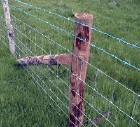 grassland fence mesh prairie wire