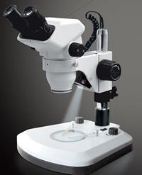 Stereo Microscope