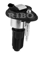 Ignition Coil, Ribo Ignition Coil Gm 12568062