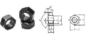 Hex Nut Din934 / Din936 / Uni5587