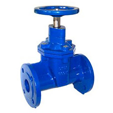 epoxy powder coating cast iron gate valve