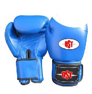 aiba boxing gloves