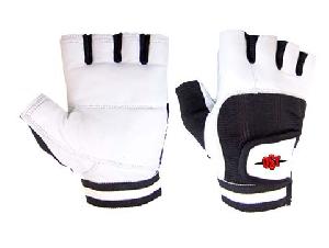 Elite Training Gloves