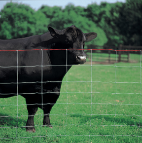 field fence grassland