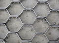 Tortoise Shell Mesh For Sale