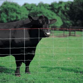 animal fence protection