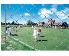 Galvanized Or Pvc Coated Chain Link Fence