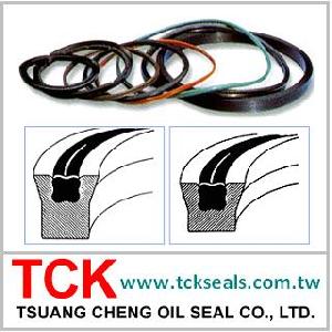 Poly Seals / Oil Seals