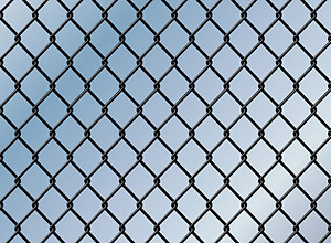 Sell Wire Mesh