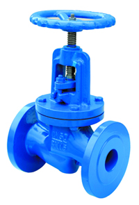 Globe Valve