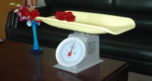 Spring Baby Scale Single Dial Or Double Dial Optional Colors 2kg-10kg