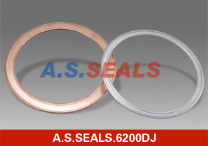 Double Jacket Gasket