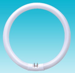 T4 Circular With High High Lumonisity And Long Lifepan