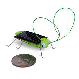 China Gadget Solar Powered Locust Bot Robot