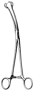 Skene Vulsellum Forceps / Gynecology Instruments