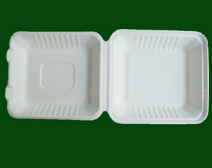 Disposable Food Container