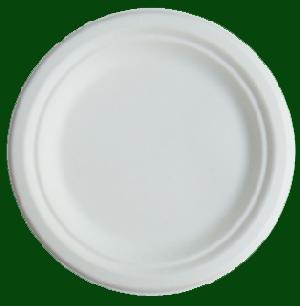 dispostable bagasse tableware