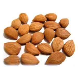 Bitter Apricot Kernels