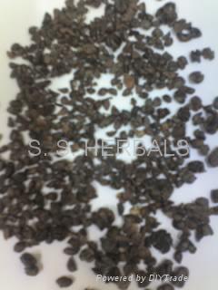 Quince Seeds