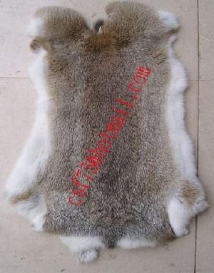 Sell Rabbit Fur