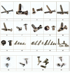 Sell Stainless Steel Screws