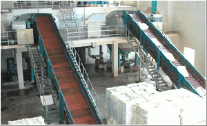 Chain Conveyer