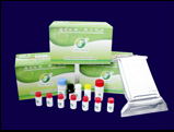 Tetracyclines Elisa Test Kit For Milk