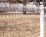 Double Loop Ornamental Fence