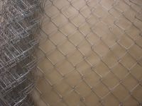 hexagonal wire mesh