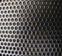 Powder Coated Perforated Metal Screen