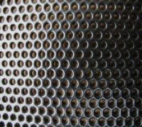 Powder Coated Perforated Metal Screen