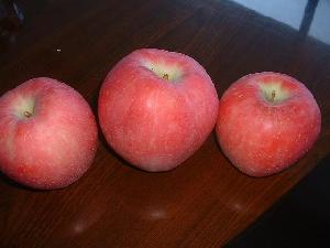 Chinese Fresh Apple