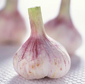 Chinese Fresh Garlic