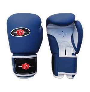 Century Boxing Gloves