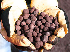 Iron Ore Concentrate , Pellets