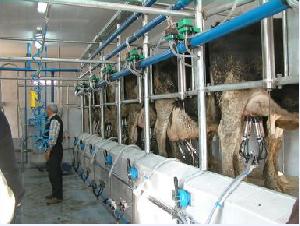 Dairy Management Systems, Scr Engineers