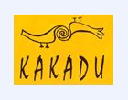 wood kakadu art