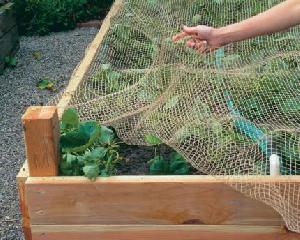 Bird Netting, Anti Bird Net