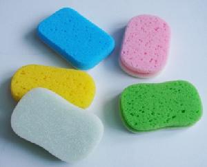 Bath Sponge