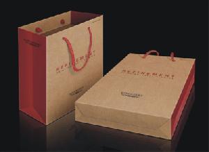 Paper Bags With Pp String