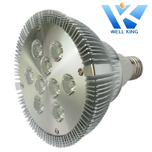 Par38 Led Spot Light