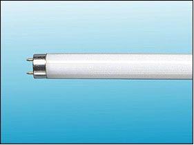 Offer T8 Fluroescent Tube