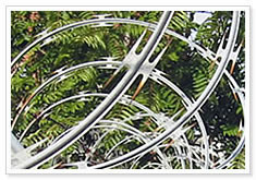 Concertina Razor Wire, Barbed Wire For Farm Field, Grassland, Military Base, Prison