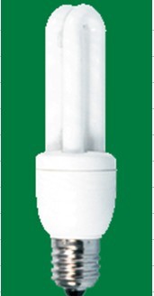 Compact Fluorescent Lamp