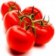 iso certificated lycopene